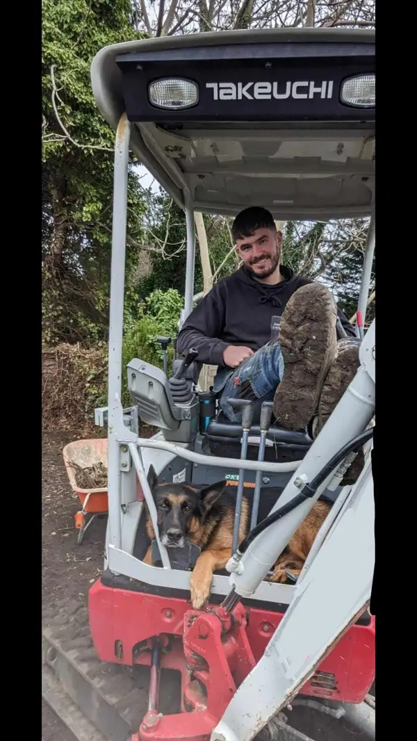 groundworker and dog on digger